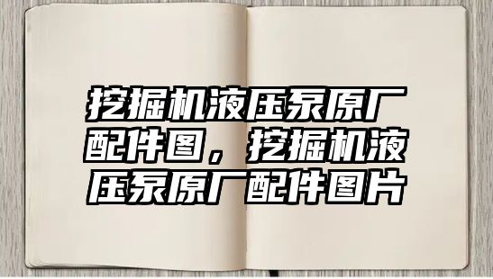 挖掘機液壓泵原廠配件圖，挖掘機液壓泵原廠配件圖片