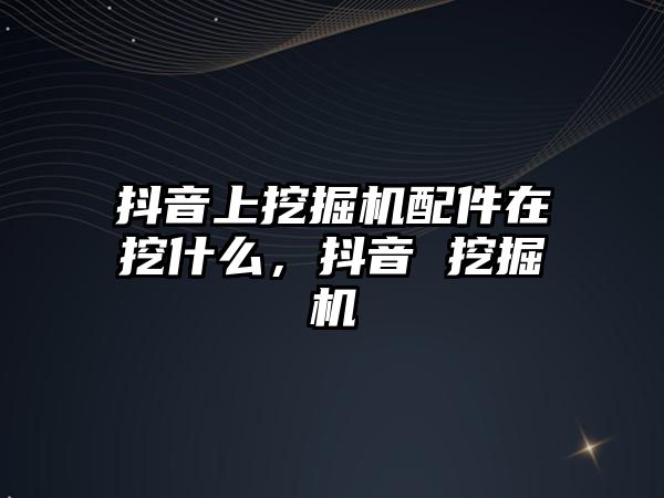 抖音上挖掘機配件在挖什么，抖音 挖掘機