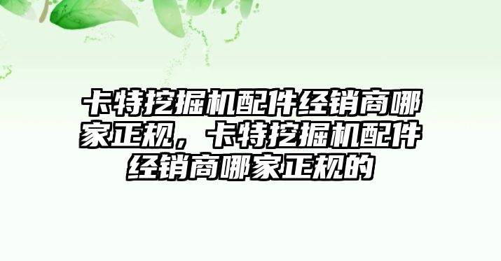 卡特挖掘機(jī)配件經(jīng)銷商哪家正規(guī)，卡特挖掘機(jī)配件經(jīng)銷商哪家正規(guī)的