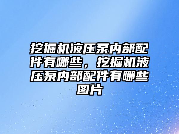 挖掘機液壓泵內部配件有哪些，挖掘機液壓泵內部配件有哪些圖片