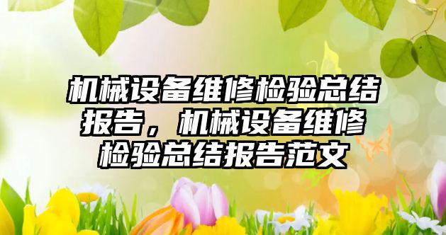 機械設備維修檢驗總結報告，機械設備維修檢驗總結報告范文