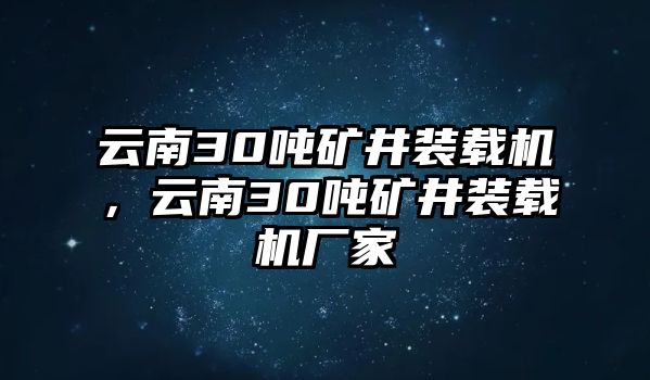 云南30噸礦井裝載機，云南30噸礦井裝載機廠家