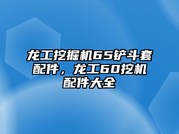 龍工挖掘機65鏟斗套配件，龍工60挖機配件大全