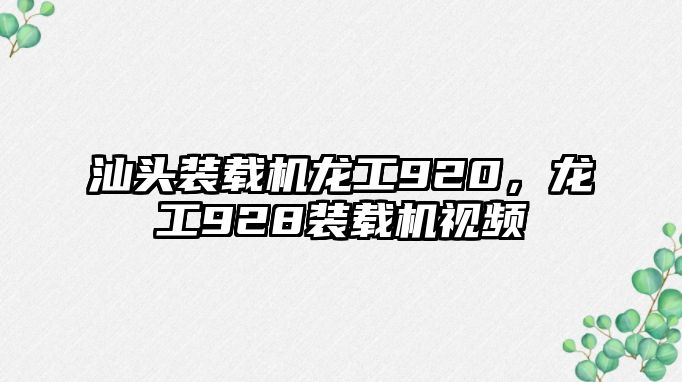 汕頭裝載機龍工920，龍工928裝載機視頻