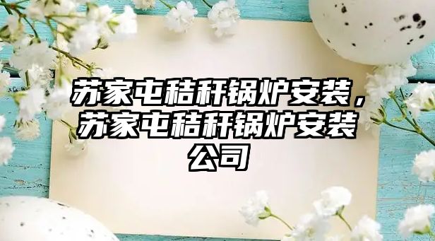 蘇家屯秸稈鍋爐安裝，蘇家屯秸稈鍋爐安裝公司