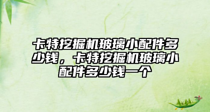 卡特挖掘機玻璃小配件多少錢，卡特挖掘機玻璃小配件多少錢一個