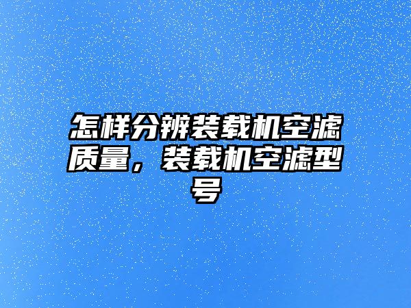 怎樣分辨裝載機空濾質量，裝載機空濾型號