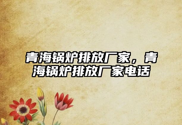 青海鍋爐排放廠家，青海鍋爐排放廠家電話