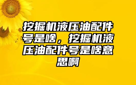 挖掘機液壓油配件號是啥，挖掘機液壓油配件號是啥意思啊