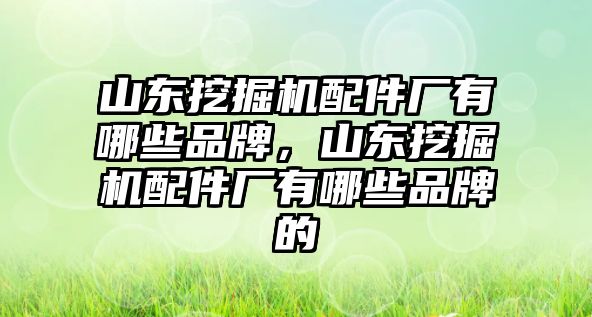 山東挖掘機配件廠有哪些品牌，山東挖掘機配件廠有哪些品牌的