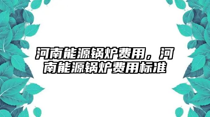 河南能源鍋爐費用，河南能源鍋爐費用標準