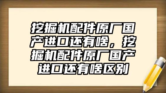 挖掘機配件原廠國產進口還有啥，挖掘機配件原廠國產進口還有啥區別