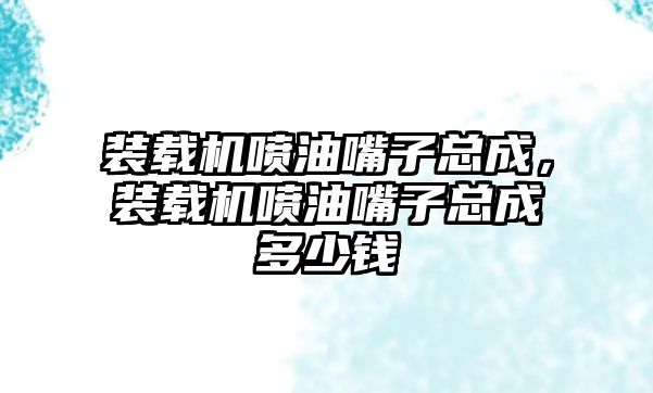 裝載機噴油嘴子總成，裝載機噴油嘴子總成多少錢