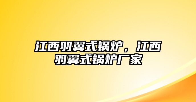 江西羽翼式鍋爐，江西羽翼式鍋爐廠家