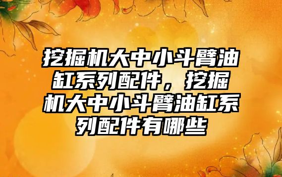 挖掘機大中小斗臂油缸系列配件，挖掘機大中小斗臂油缸系列配件有哪些