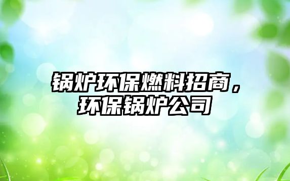 鍋爐環保燃料招商，環保鍋爐公司