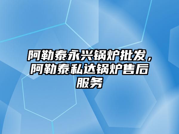 阿勒泰永興鍋爐批發(fā)，阿勒泰私達鍋爐售后服務