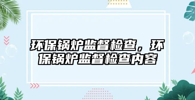 環保鍋爐監督檢查，環保鍋爐監督檢查內容