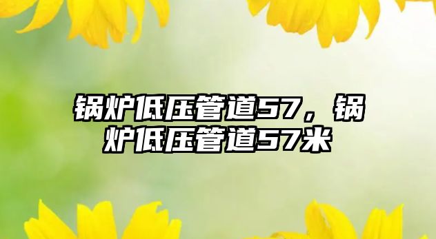 鍋爐低壓管道57，鍋爐低壓管道57米