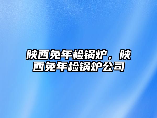 陜西免年檢鍋爐，陜西免年檢鍋爐公司