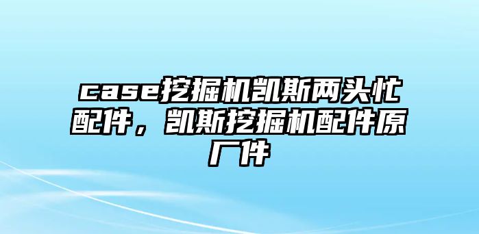 case挖掘機凱斯兩頭忙配件，凱斯挖掘機配件原廠件