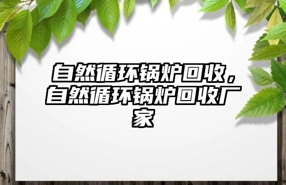 自然循環鍋爐回收，自然循環鍋爐回收廠家