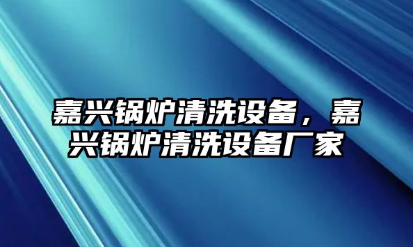 嘉興鍋爐清洗設備，嘉興鍋爐清洗設備廠家