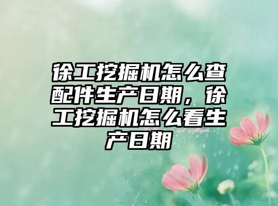 徐工挖掘機怎么查配件生產日期，徐工挖掘機怎么看生產日期