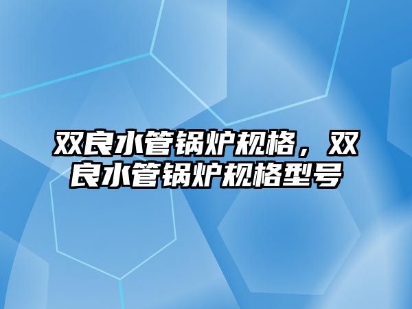 雙良水管鍋爐規(guī)格，雙良水管鍋爐規(guī)格型號