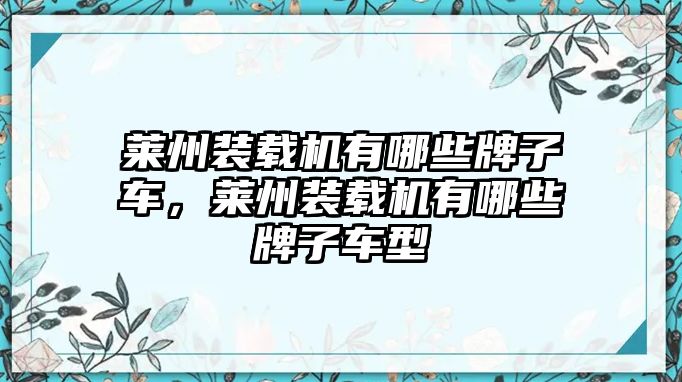 萊州裝載機有哪些牌子車，萊州裝載機有哪些牌子車型