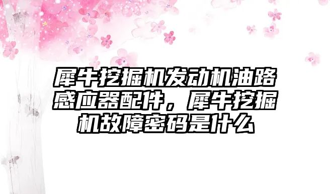 犀牛挖掘機發動機油路感應器配件，犀牛挖掘機故障密碼是什么