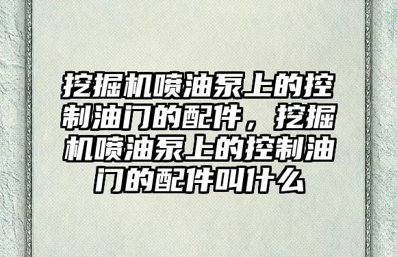 挖掘機噴油泵上的控制油門的配件，挖掘機噴油泵上的控制油門的配件叫什么