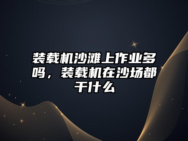 裝載機沙灘上作業多嗎，裝載機在沙場都干什么