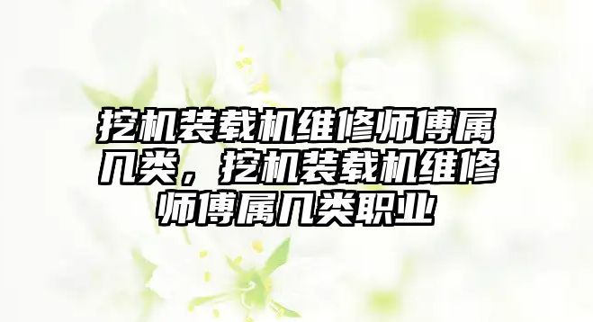 挖機裝載機維修師傅屬幾類，挖機裝載機維修師傅屬幾類職業