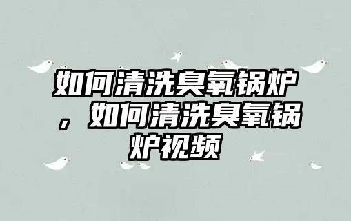 如何清洗臭氧鍋爐，如何清洗臭氧鍋爐視頻