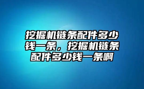 挖掘機鏈條配件多少錢一條，挖掘機鏈條配件多少錢一條啊