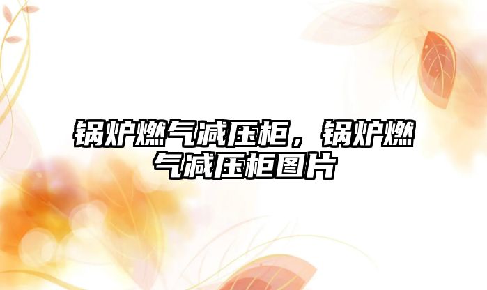 鍋爐燃?xì)鉁p壓柜，鍋爐燃?xì)鉁p壓柜圖片