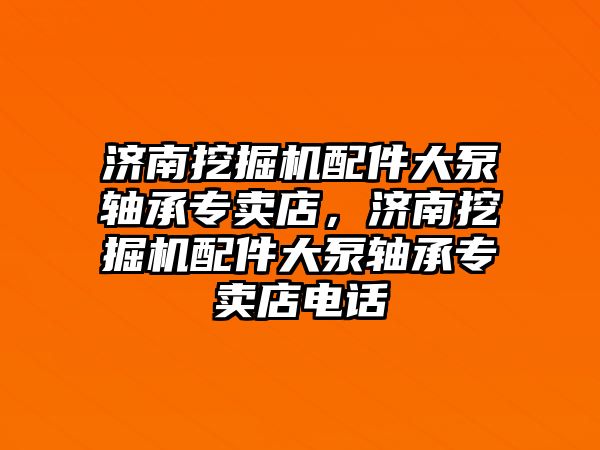 濟南挖掘機配件大泵軸承專賣店，濟南挖掘機配件大泵軸承專賣店電話