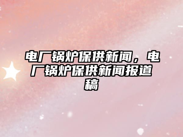 電廠鍋爐保供新聞，電廠鍋爐保供新聞報道稿