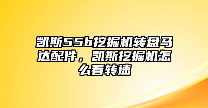 凱斯55b挖掘機轉盤馬達配件，凱斯挖掘機怎么看轉速