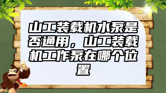 山工裝載機水泵是否通用，山工裝載機工作泵在哪個位置