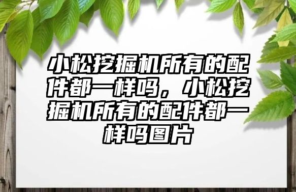 小松挖掘機所有的配件都一樣嗎，小松挖掘機所有的配件都一樣嗎圖片