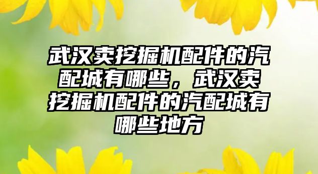 武漢賣挖掘機配件的汽配城有哪些，武漢賣挖掘機配件的汽配城有哪些地方