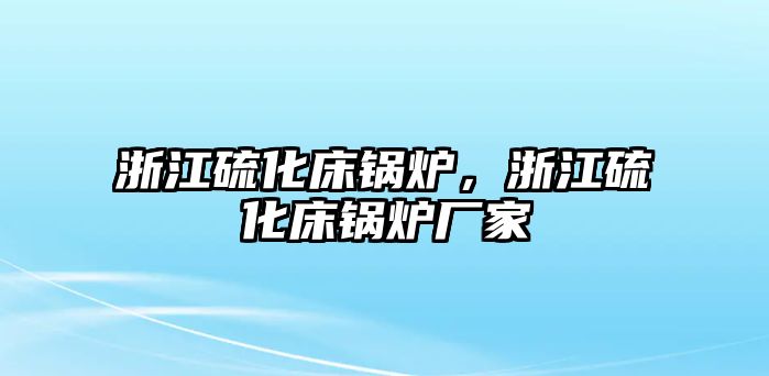 浙江硫化床鍋爐，浙江硫化床鍋爐廠家