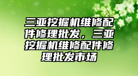 三亞挖掘機維修配件修理批發(fā)，三亞挖掘機維修配件修理批發(fā)市場