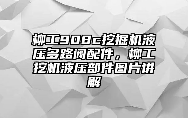 柳工908c挖掘機(jī)液壓多路閥配件，柳工挖機(jī)液壓部件圖片講解