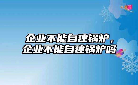 企業不能自建鍋爐，企業不能自建鍋爐嗎