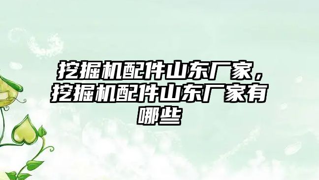 挖掘機配件山東廠家，挖掘機配件山東廠家有哪些