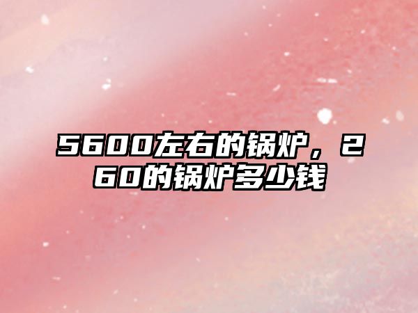 5600左右的鍋爐，260的鍋爐多少錢(qián)