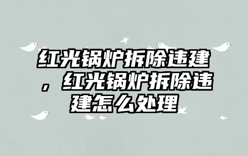 紅光鍋爐拆除違建，紅光鍋爐拆除違建怎么處理